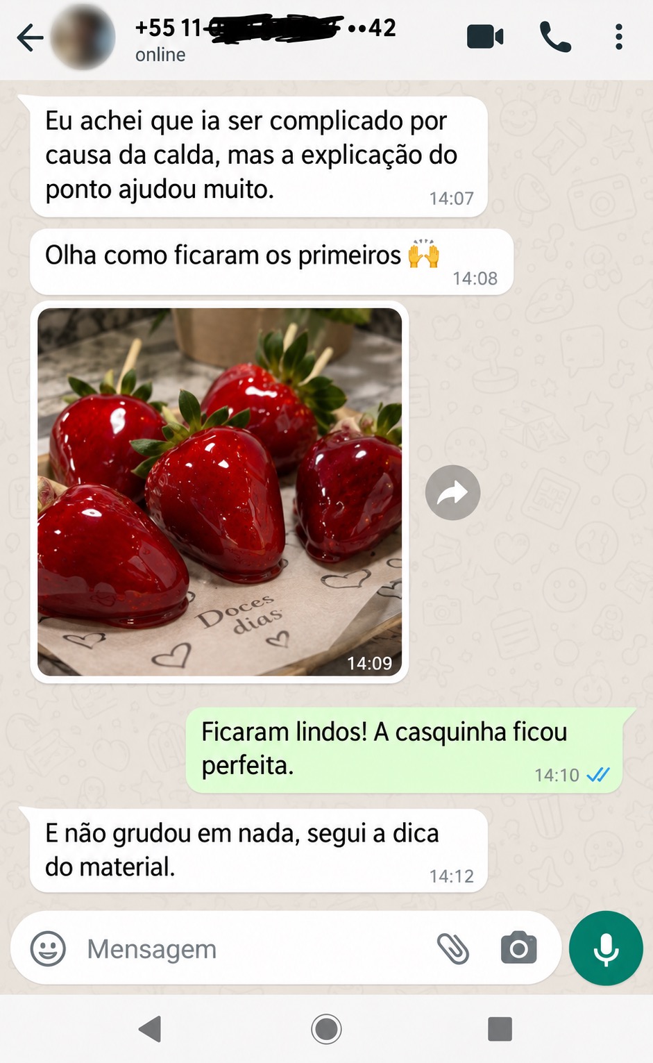 Conversa no WhatsApp com cliente mostrando seus primeiros morangos do amor
